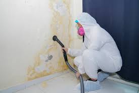 Asbestos and Lead Testing During Mold Inspection in Rollingwood, CA